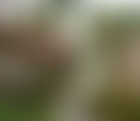 Siem Reap: Cambodia’s Creative Soul