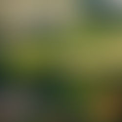 Vattanac Golf Resort, Phnom Penh: Cambodia’s World-Class Golf Playground