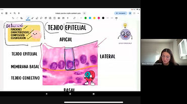 WhatsApp Image 2026-02-04 at 23.26.34.jpeg