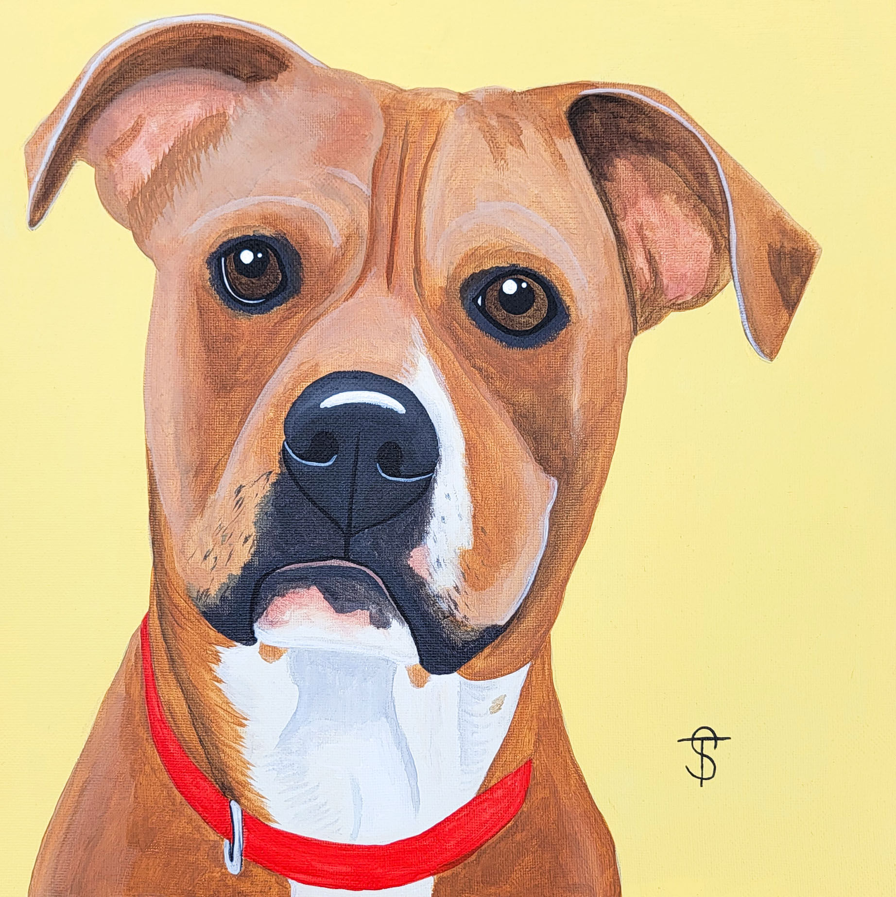 Pet Portrait | Canvas Painting