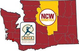 SDWaStateNFCA(lo).png