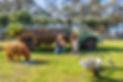 334 Piggott Range Rd. Onkaparinga Hills_44.jpg