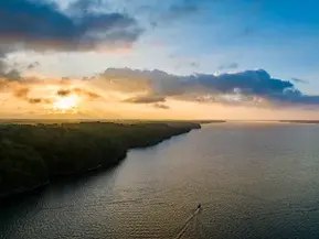 Join Us for the Veterans Catfishing Event and Learn How to Support Our Heroes