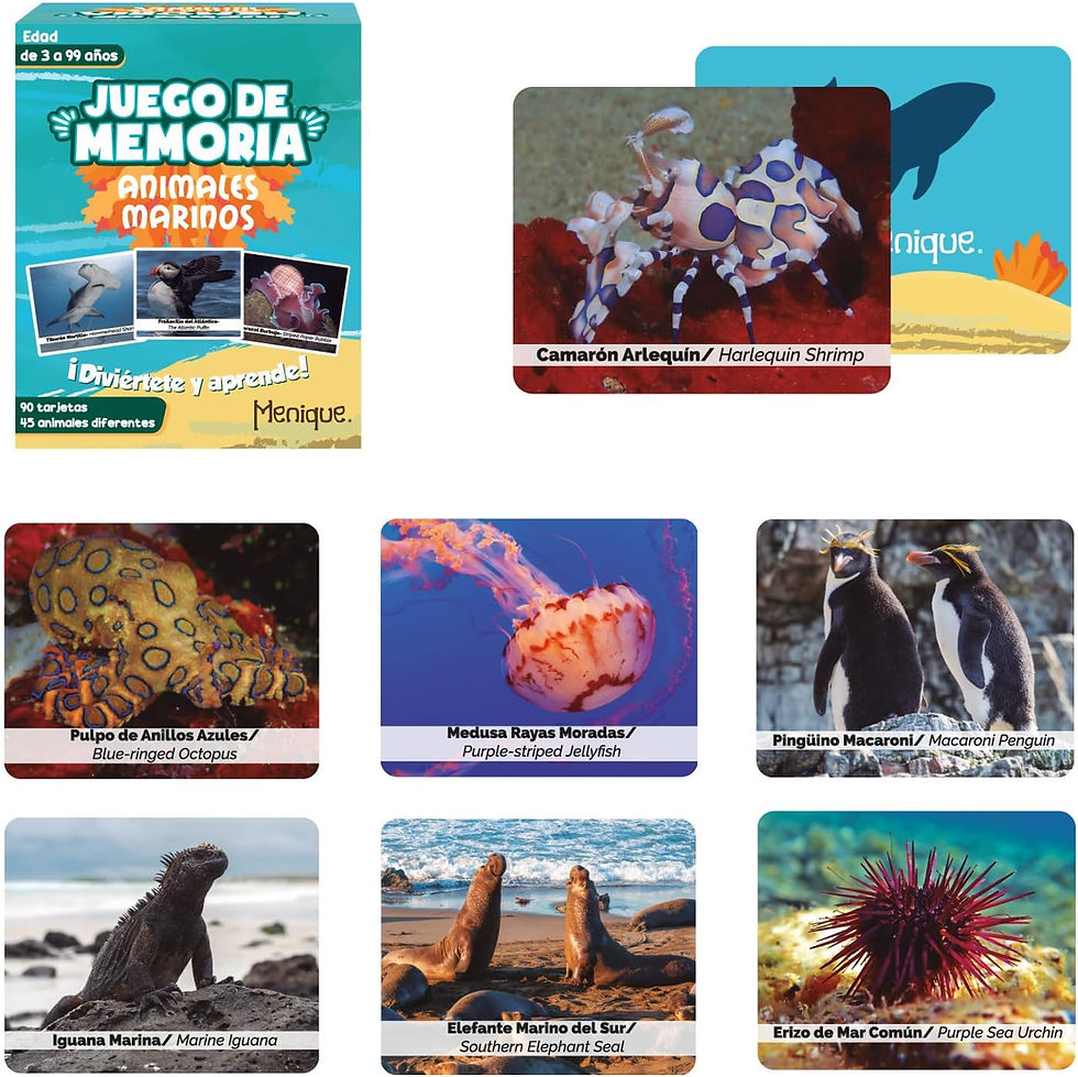 Miniatura: Juego de Memoria. Animales marinos / Marine animals