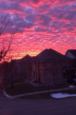 144417368_904850426941665_54677579171924