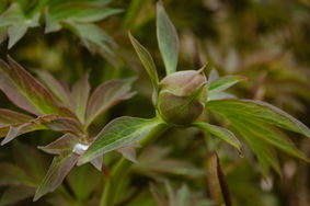 2025-4-13_lausanne-46