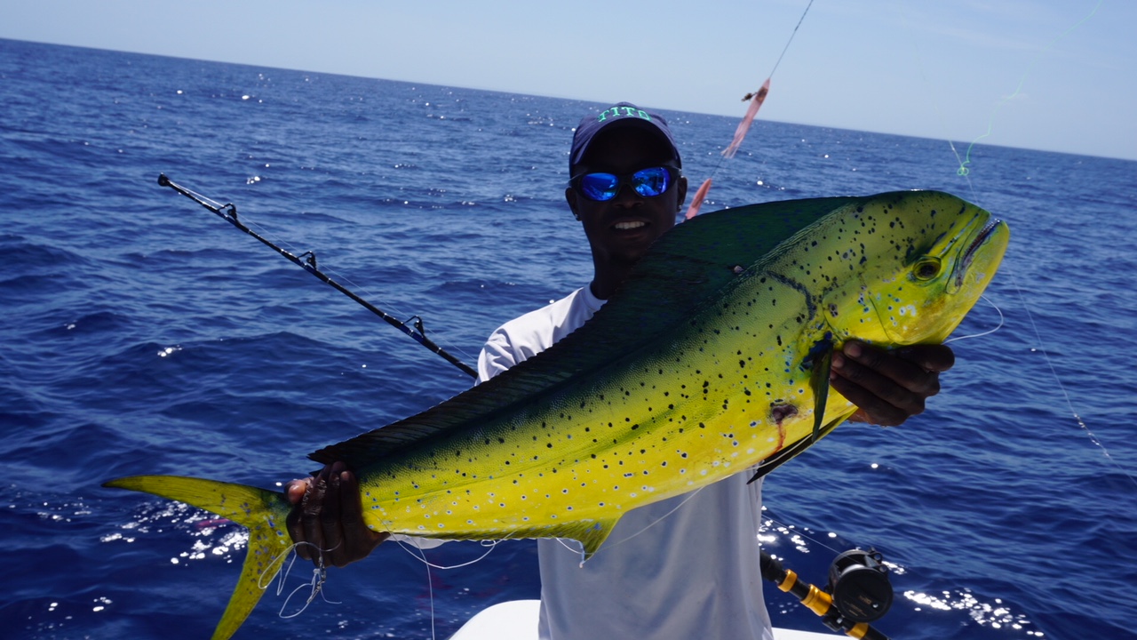 Best Punta Cana Excursions Deep Sea Fishing Dominican Republic