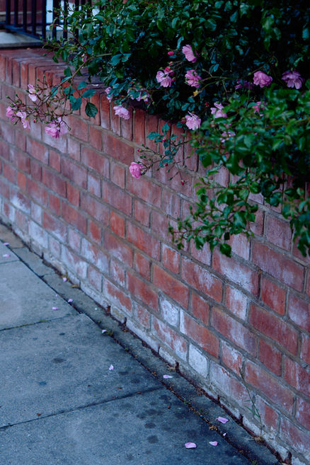 DSC04402