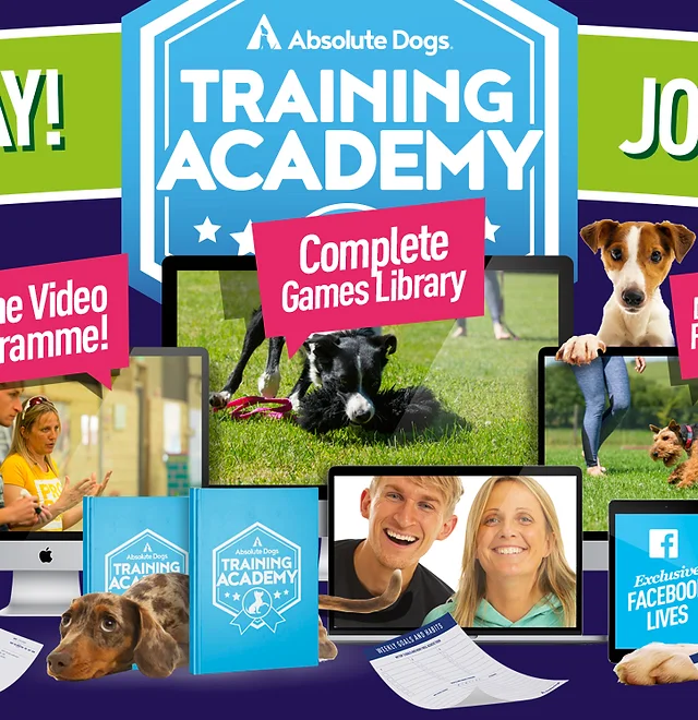 k9 dog training academy