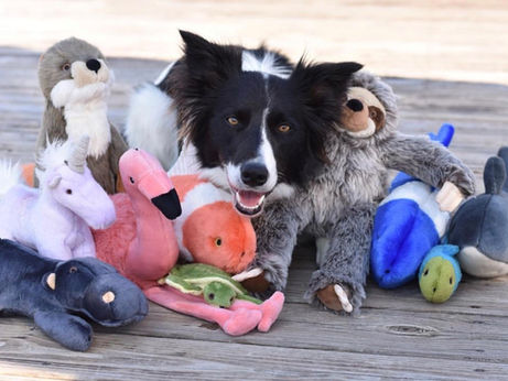 Dog Toy Review | Fluff And Tuff Plush Dog Toys