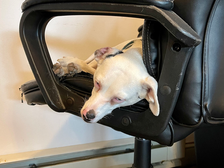 May 17th, 2022 | Lots Of Blog Work