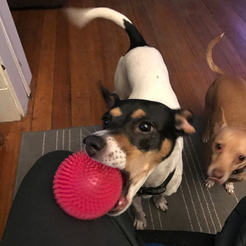 04BC0368-C02E-4400-B6B6-37680901D69F.jpeg