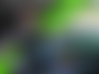 Kait Wallace Enjoys a Stress-Free, Fun-Filled Partial Season at Flamboro Speedway