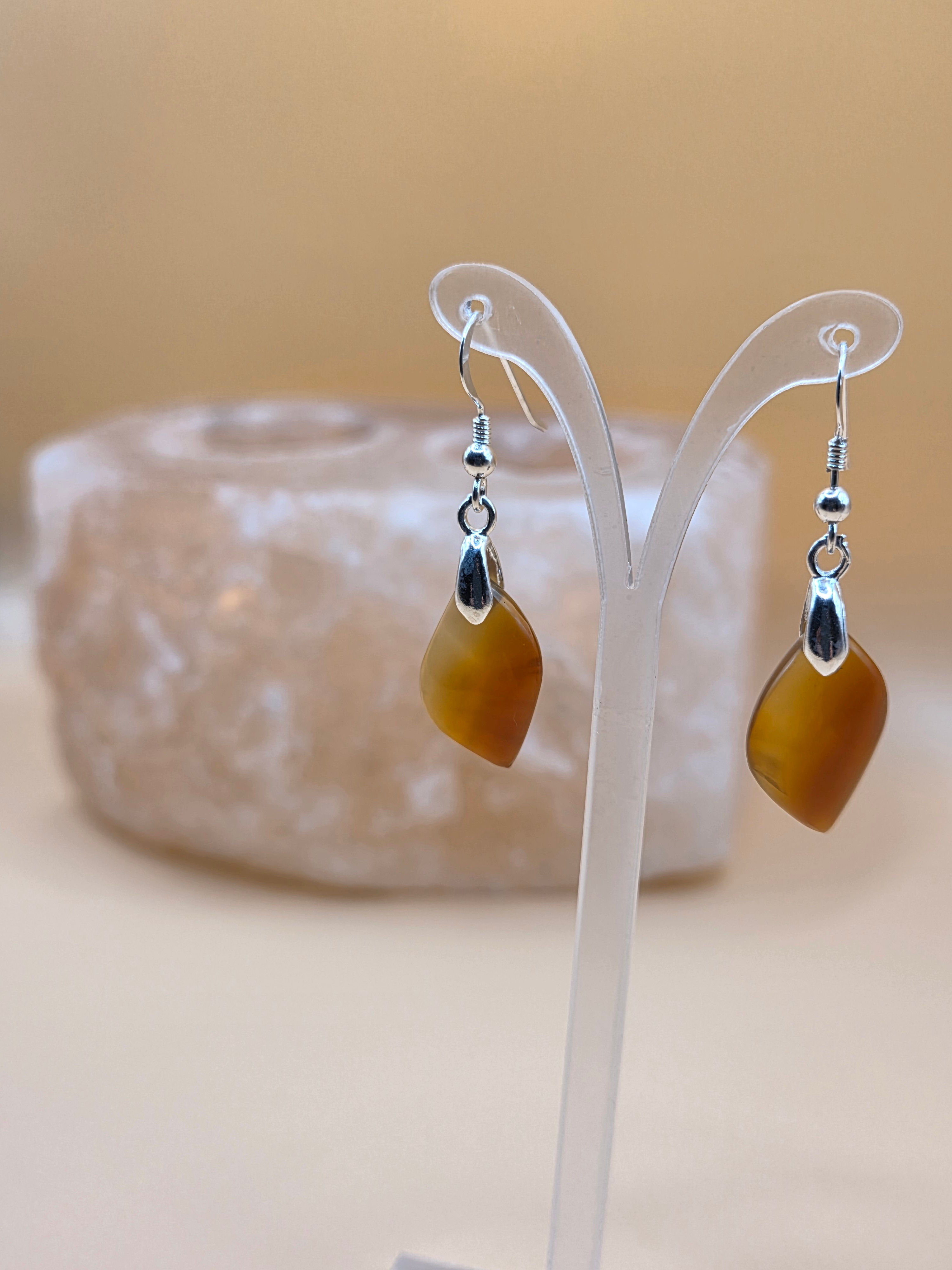 Boucles d'oreilles à crochets en argent 925 et Cornaline de Madagascar