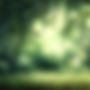 green-foliage-grass-background.jpg