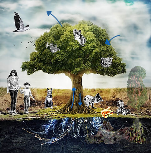 hydro with people full.jpg