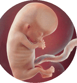 6861ee0a068e6a74ce567c247df5dd1c.gif