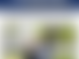 Scholarship Success Stories