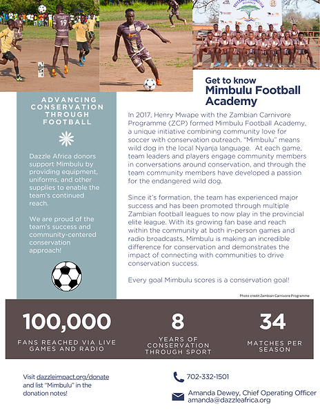 Copy of Blue Modern Professional Business One Pager Flyer (1).png