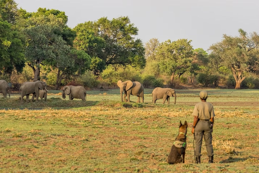 Photo credit: Edward Selfe