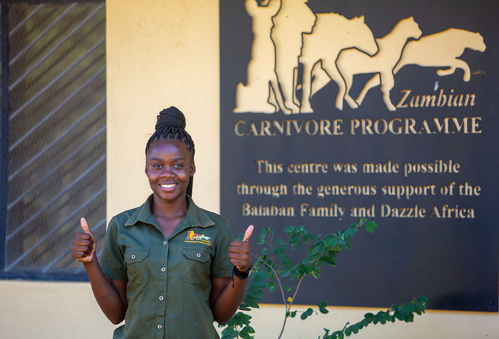 Photo credit: Mjose Jozie