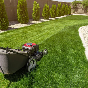 cutting-grass-in-backyard.jpg