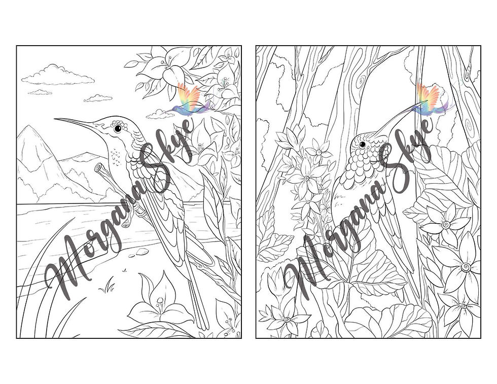 Thumbnail: Hummingbirds