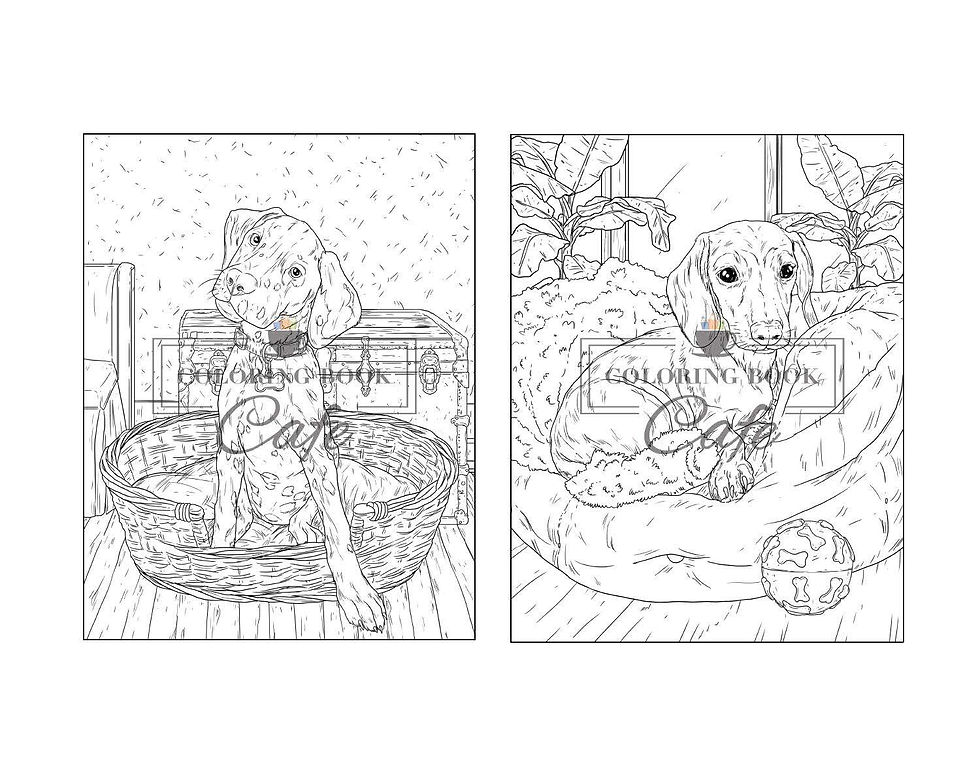 Thumbnail: Beautiful Dogs