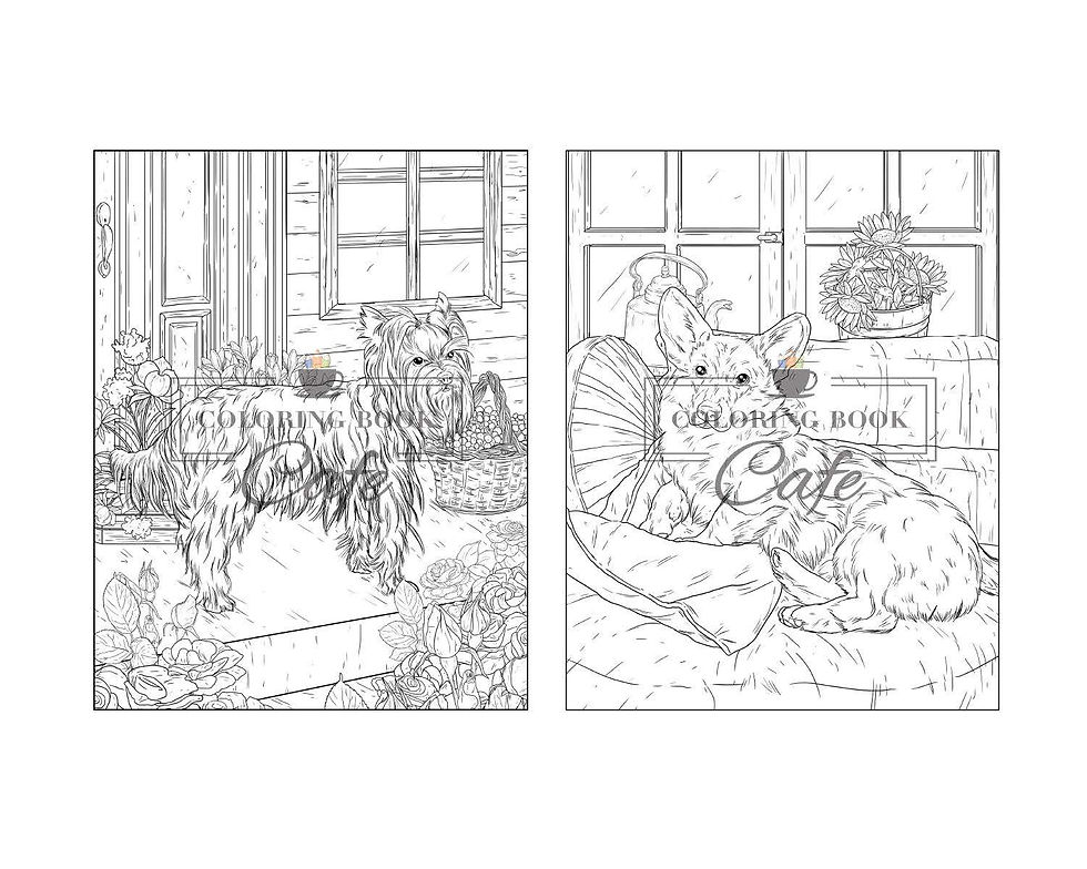 Thumbnail: Beautiful Dogs