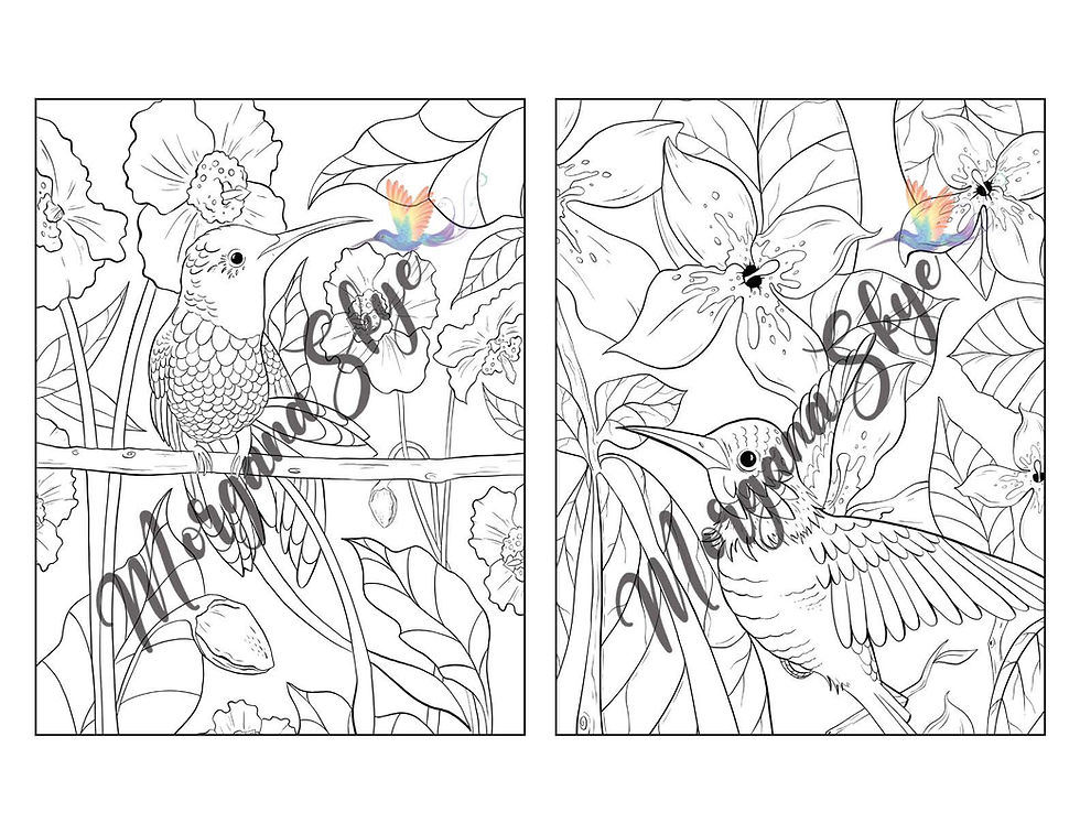 Thumbnail: Hummingbirds