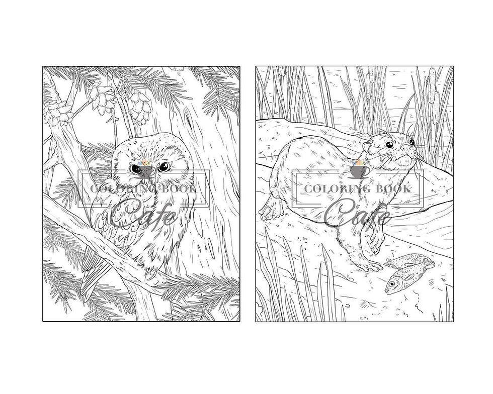 Thumbnail: 100 Wildlife Scenes