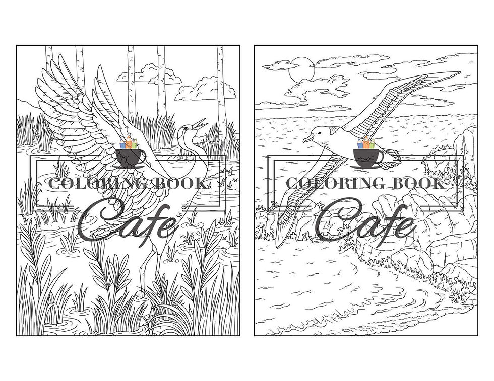 Thumbnail: Birds of North America