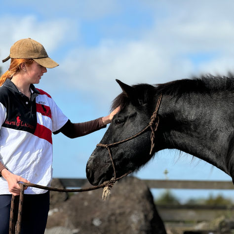 Bruce Wayne is back!