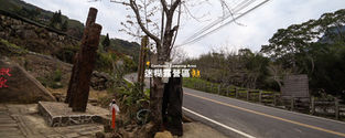 阿里山迷糊露營 - 2019/1/26 【露小小家族 - 第二十六露】