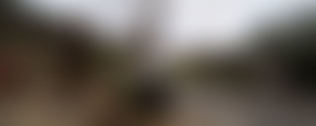 阿里山迷糊露營 - 2019/1/26 【露小小家族 - 第二十六露】