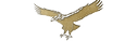 just gold eagle_.png
