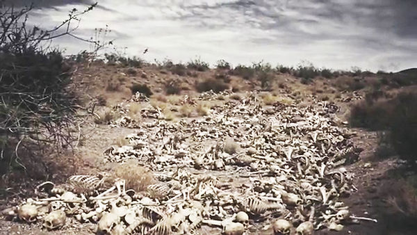 A photograph of many human scheletons in an arid valley illustrates a study on the vision-prophecy of the Dry Bones.