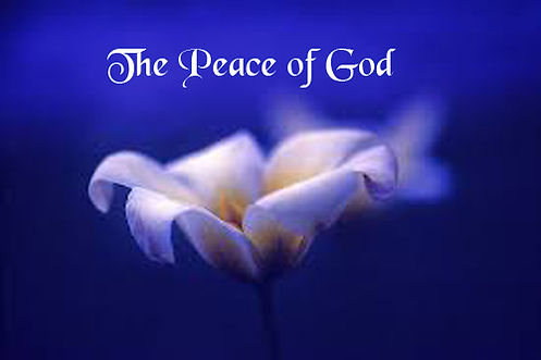 In this image, a while lily on a deep blue background and above it the workds The Peace of God is used to emphasize that the Peace of God guards hearts and thoughts.