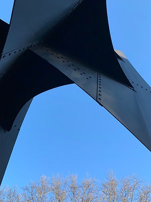 calder sail leg_edited.jpg