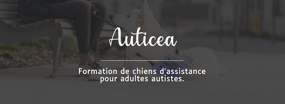 Auticea
