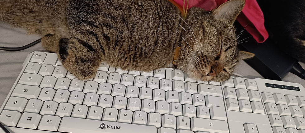 Millow sur mon clavier