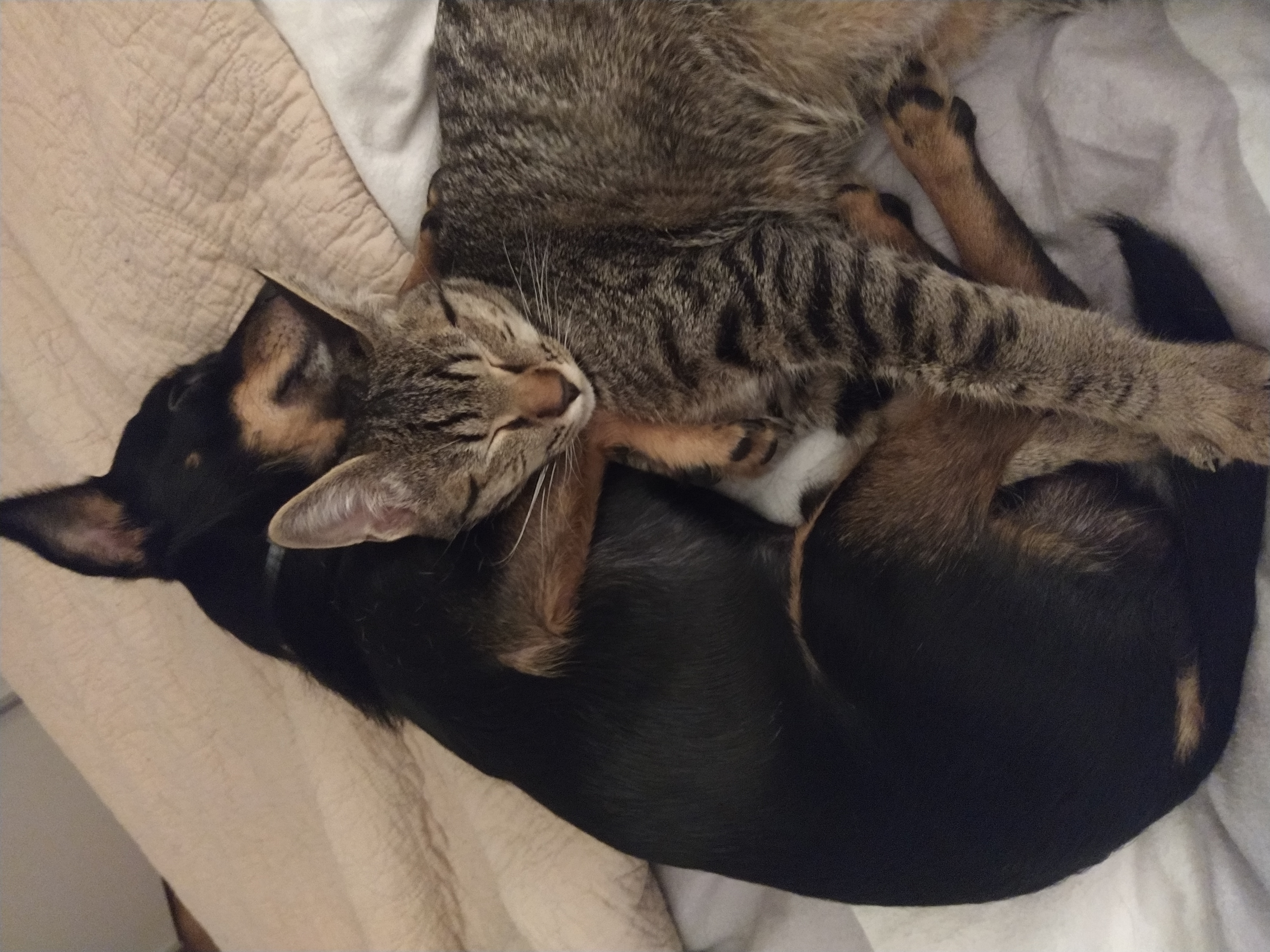 Eliot et Millow