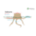 Mäta_stubbe.png