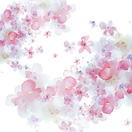 web design image flowers.png
