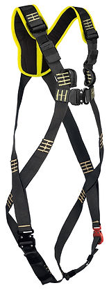 arax_uni (1).jpg