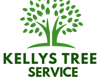 Are Stubborn Roots Grinding You Down? Kelly’s Tree Service Can Clear the Way
