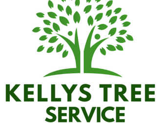Kellys Tree Service - Your East Beaches Tree Services