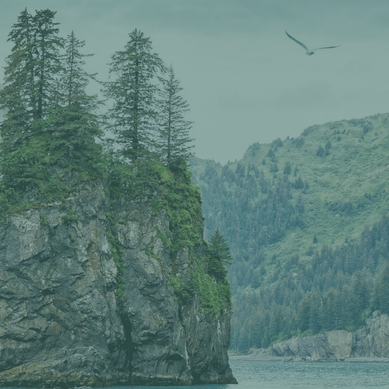A small island in the Salish Sea with trees jutting out of a cliff. Image is decorative with a light green filter applied