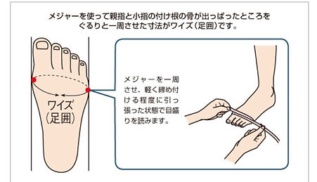 ワイズ測定