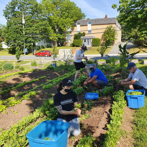 From The North Grove's Kitchen: Spinach, Corn and Tomato Salad with Balsamic Vinaigrette